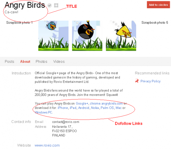 Google+ Angry Birds